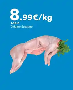 Hmarket Lapin offre