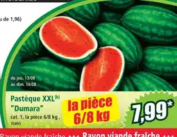 Norma Pastèque xxl ”dumara” offre