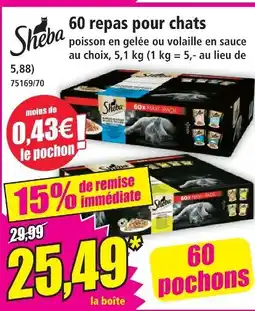 Norma Sheba 60 repas pour chats offre