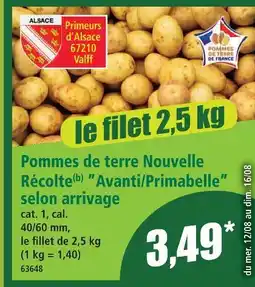 Norma Pommes de terre nouvelle récolte avanti/primabelle offre