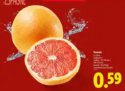 Lidl Pomelo offre