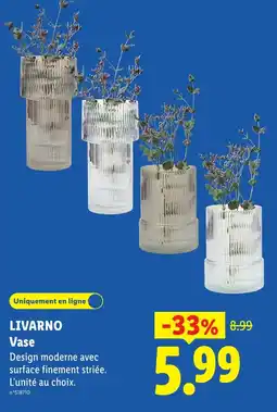 Lidl LIVARNO Vase offre