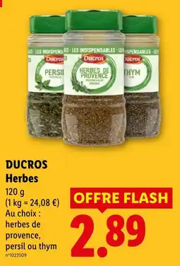 Lidl DUCROS Herbes offre