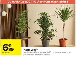 Carrefour Market Plante Verte offre