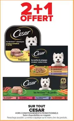 Carrefour Market Cesar les terrines** classiques offre