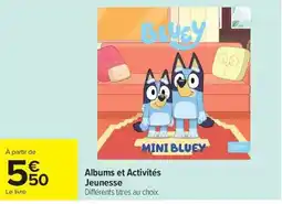 Carrefour Market MINI BLUEY offre