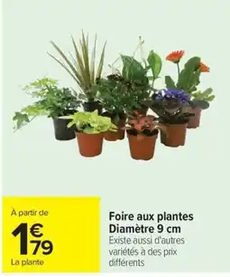 Carrefour Foire aux plantes offre