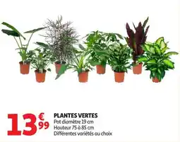 Auchan Direct PLANTES VERTES offre