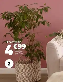 GiFi Panière offre