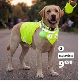 GiFi Set sellerie chien offre