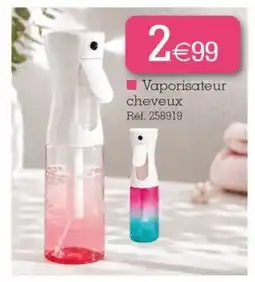 Kandy Vaporisateur cheveux offre