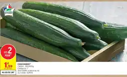 Intermarché Concombre offre