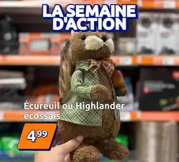 Action Écureuil ou highlander écossais offre