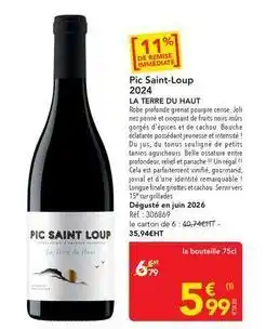 METRO Saint loup - pic 2024 offre