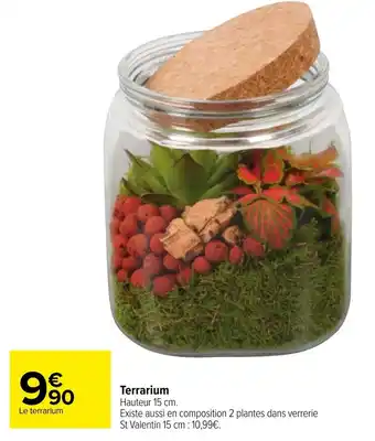 Carrefour Terrarium offre