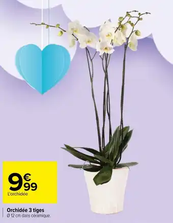 Carrefour Orchidée 3 tiges offre