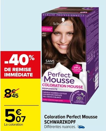 Carrefour Coloration perfect mousse offre