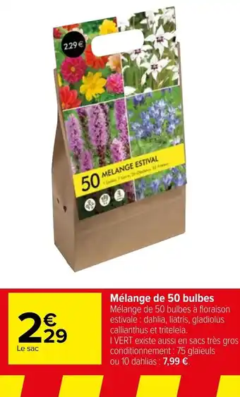 Carrefour Mélange de 50 bulbes offre