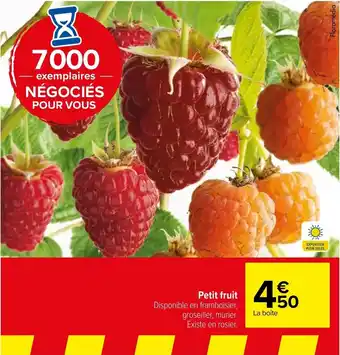 Carrefour Petit fruit offre