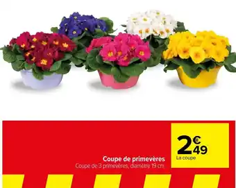 Carrefour Coupe de primevères offre