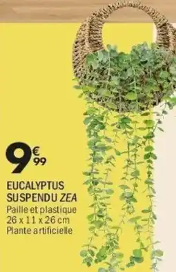 La Foir'Fouille Eucalyptus suspendu zea offre