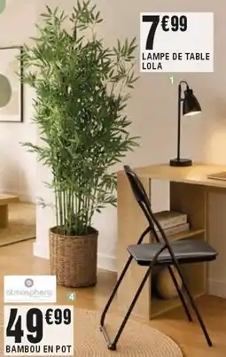 La Foir'Fouille atmosphera BAMBOU EN POT offre