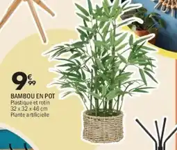 La Foir'Fouille Bambou en pot offre