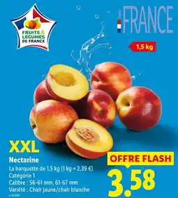Lidl Nectarine xxl offre