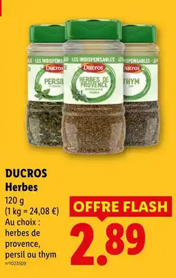 Lidl Ducros herbes offre