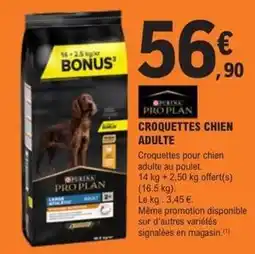 E.Leclerc Jardi Purina - croquettes chien adulte offre