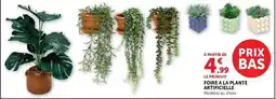 Super U Le pa foire a la plante artificielle offre