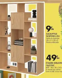 La Foir'Fouille EUCALYPTUS SUSPENDU ZEA offre