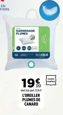 Centrakor L'oreiller plumes de canard offre