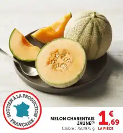 Bi1 MELON CHARENTAIS JAUNE offre