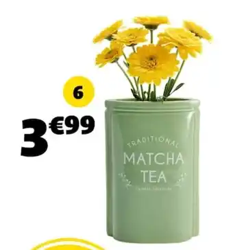 MATCHA TEA