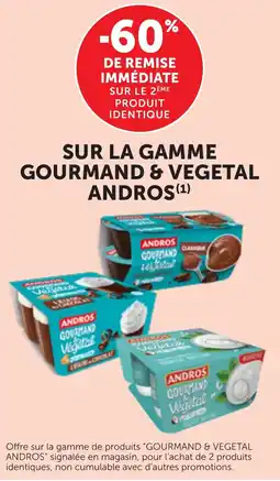 Maximarché Andros gourmand & végétal offre