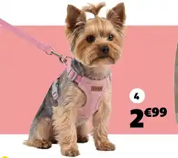 GiFi Harnais pour animal offre
