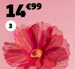 GiFi Fleur tige pavot offre