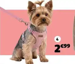 GiFi Robe femme offre