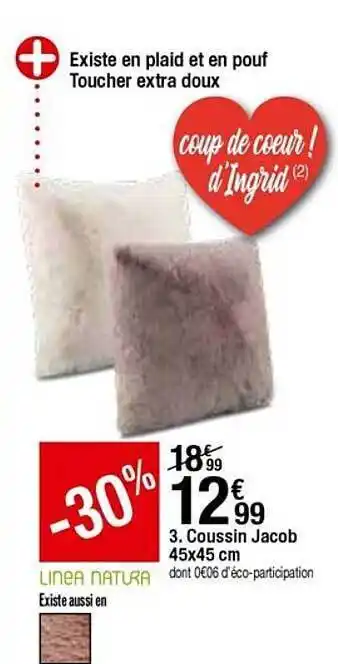 BUT Coussin Jacob 45 X 45 Cm offre