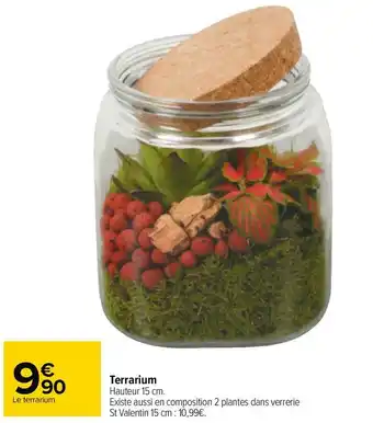 Carrefour Terrarium offre