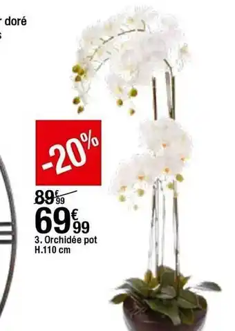 BUT Orchidée Pot H. 110 Cm offre