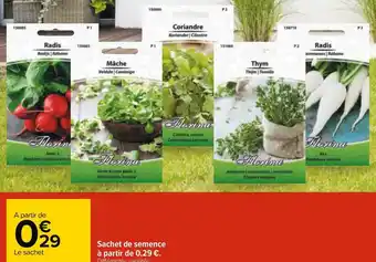 Carrefour Sachet de semence à partir de 0,29 €. offre