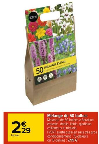 Carrefour Mélange de 50 bulbes offre