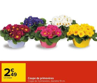 Carrefour Coupe de primevères offre