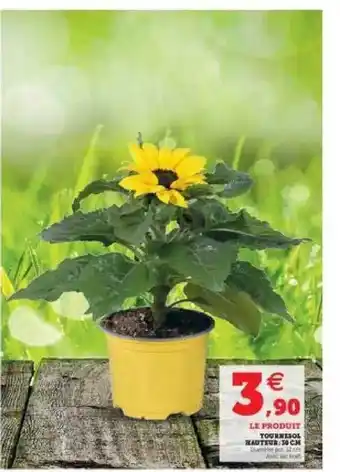 Super U Tournesol offre