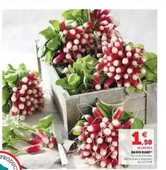 Super U Radis Rose offre