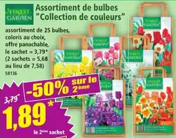 Norma FINEST GARDEN Assortiment de bulbes offre