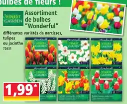 Norma Finest Garden Assortiment de bulbes "Wonderful" offre