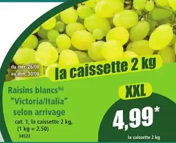 Norma Raisins blancs Victoria/Italia offre